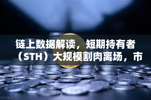 链上数据解读，短期持有者（STH）大规模割肉离场，市场底在何方？