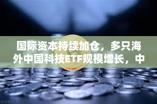 国际资本持续加仓，多只海外中国科技ETF规模增长，中概股与加密资产联动