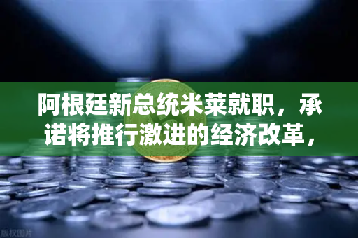 阿根廷新总统米莱就职，承诺将推行激进的经济改革，加密货币或成破局关键？