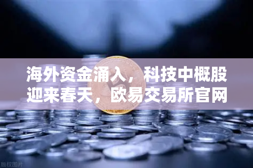 海外资金涌入，科技中概股迎来春天，欧易交易所官网深度解析市场新趋势