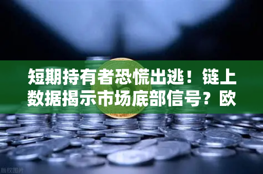 短期持有者恐慌出逃！链上数据揭示市场底部信号？欧易交易所最新解读