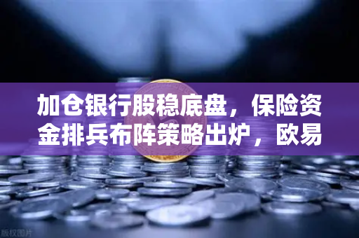 加仓银行股稳底盘，保险资金排兵布阵策略出炉，欧易交易所官网深度解析