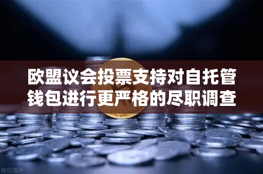 欧盟议会投票支持对自托管钱包进行更严格的尽职调查，加密世界面临监管新风暴