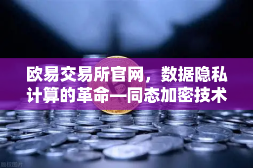 欧易交易所官网，数据隐私计算的革命—同态加密技术让数据可用不可见