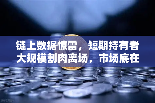链上数据惊雷，短期持有者大规模割肉离场，市场底在何方？