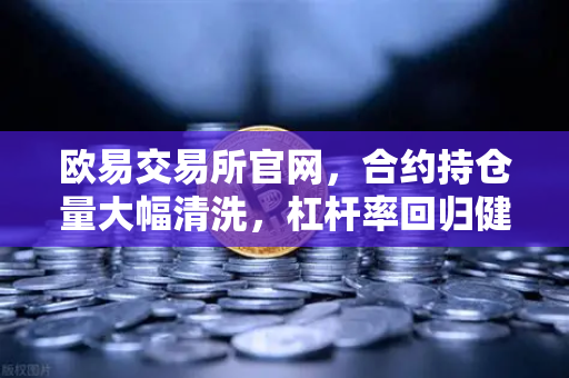 欧易交易所官网,合约持仓量大幅清洗,杠杆率回归健康水平—市场回暖的前兆?-第1张图片-欧易交易所 欧易交易所官网,合约持仓量大幅清洗,杠杆率回归健康水平—市场回暖的前兆?-第1张图片-欧易交易所