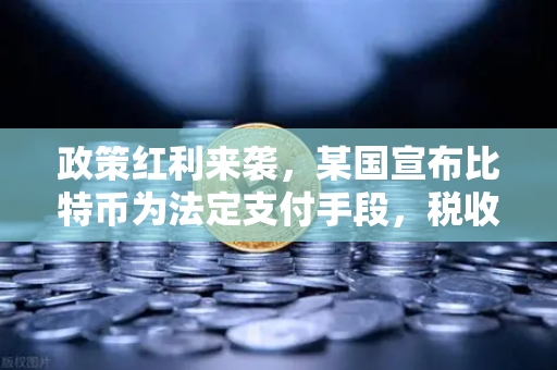 政策红利来袭，某国宣布比特币为法定支付手段，税收全免，欧易交易所用户如何抓住机遇？