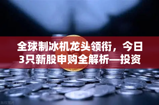 全球制冰机龙头领衔，今日3只新股申购全解析—投资者不可错过的财富机遇