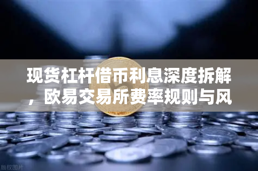 现货杠杆借币利息深度拆解，欧易交易所费率规则与风险对冲实操指南
