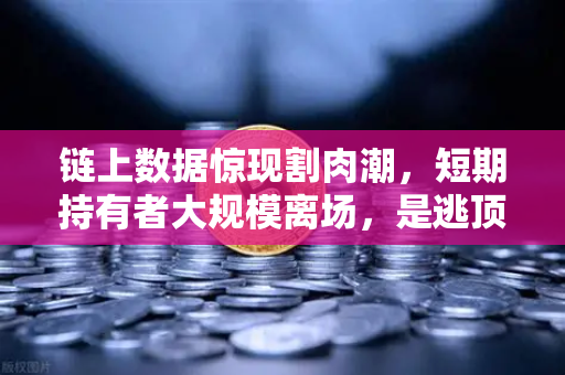 链上数据惊现割肉潮,短期持有者大规模离场,是逃顶信号还是黄金坑?-第1张图片-欧易交易所 链上数据惊现割肉潮,短期持有者大规模离场,是逃顶信号还是黄金坑?-第1张图片-欧易交易所