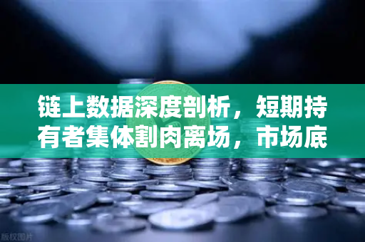 链上数据深度剖析，短期持有者集体割肉离场，市场底部信号是否已现？