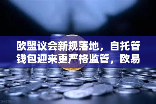 欧盟议会新规落地，自托管钱包迎来更严格监管，欧易交易所官网用户如何应对？-第1张图片-欧易交易所