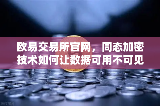 欧易交易所官网，同态加密技术如何让数据可用不可见