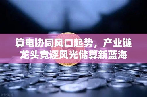算电协同风口起势，产业链龙头竞逐风光储算新蓝海