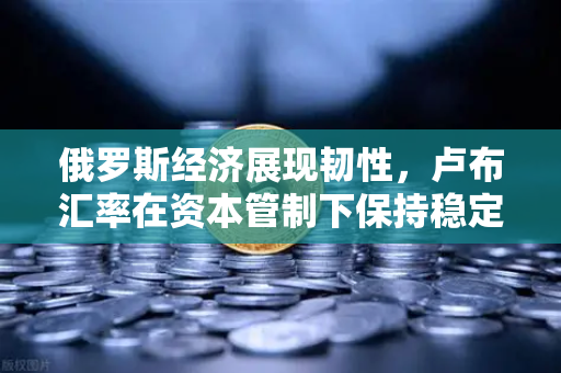 俄罗斯经济展现韧性，卢布汇率在资本管制下保持稳定，欧易交易所官网深度解析-第1张图片-欧易交易所