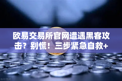 欧易交易所官网遭遇黑客攻击？别慌！三步紧急自救+白帽猎人Immunefi实战指南-第1张图片-欧易交易所