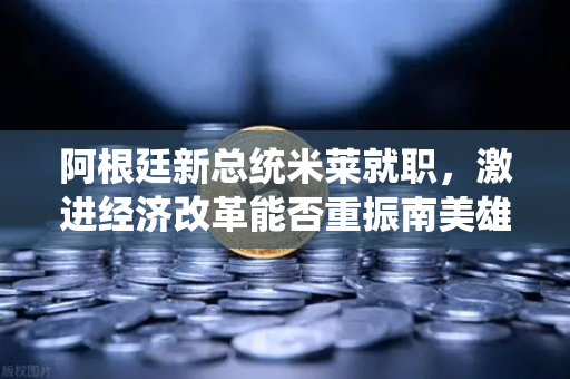 阿根廷新总统米莱就职，激进经济改革能否重振南美雄风？