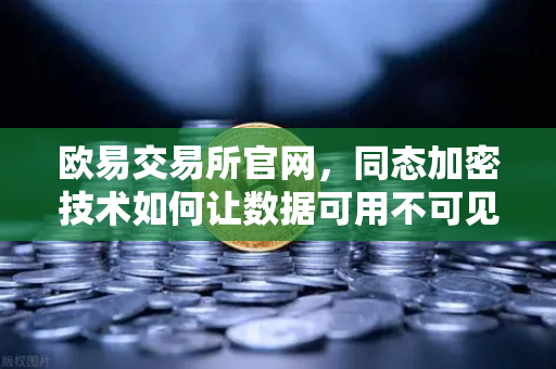 欧易交易所官网，同态加密技术如何让数据可用不可见？-第1张图片-欧易交易所
