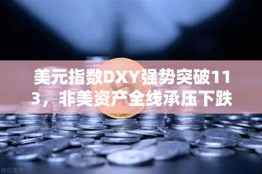 美元指数DXY强势突破113，非美资产全线承压下跌，投资者避险情绪升温，欧易交易所用户如何应对？-第1张图片-欧易交易所