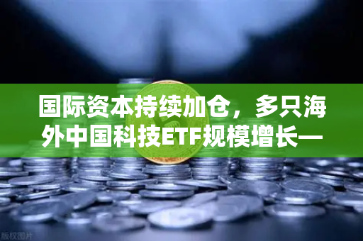 国际资本持续加仓，多只海外中国科技ETF规模增长—欧易交易所官网深度解析-第1张图片-欧易交易所