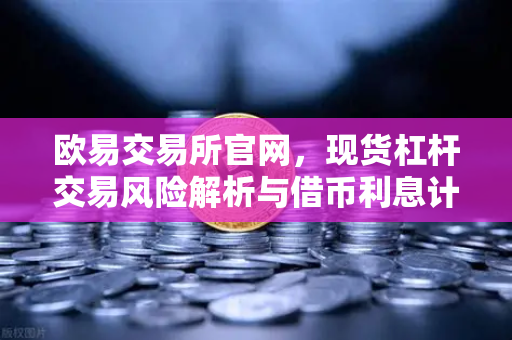 欧易交易所官网，现货杠杆交易风险解析与借币利息计算全攻略