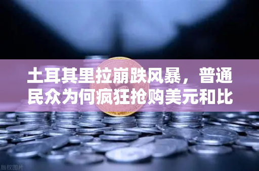 土耳其里拉崩跌风暴，普通民众为何疯狂抢购美元和比特币？一文看懂避险逻辑