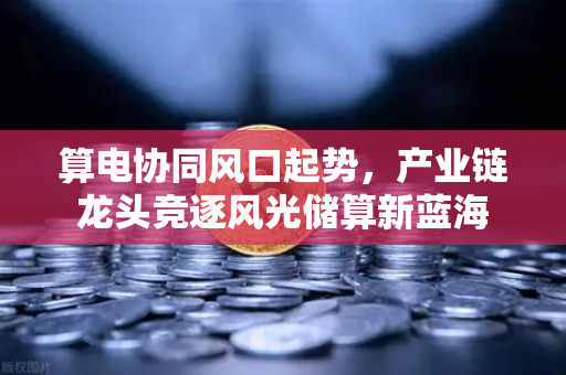 算电协同风口起势，产业链龙头竞逐风光储算新蓝海