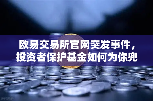 欧易交易所官网突发事件，投资者保护基金如何为你兜底？-第1张图片-欧易交易所