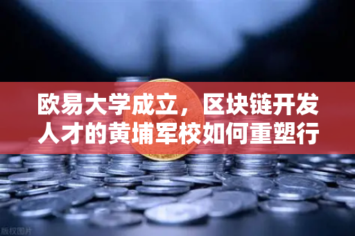 欧易大学成立，区块链开发人才的黄埔军校如何重塑行业未来？