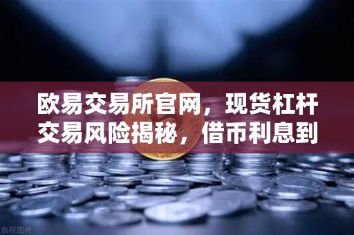 欧易交易所官网,现货杠杆交易风险揭秘,借币利息到底怎么算?-第1张图片-欧易交易所 欧易交易所官网,现货杠杆交易风险揭秘,借币利息到底怎么算?-第1张图片-欧易交易所