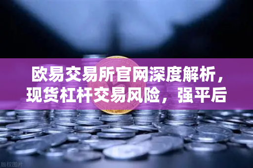 欧易交易所官网深度解析，现货杠杆交易风险，强平后你的资产会发生什么？