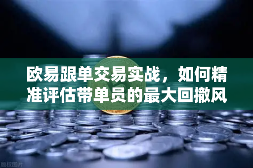 欧易跟单交易实战，如何精准评估带单员的最大回撤风险？从散户到大神的进阶指南