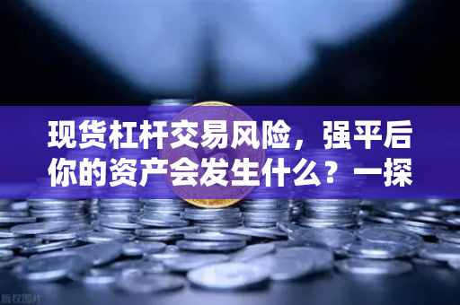 现货杠杆交易风险，强平后你的资产会发生什么？一探究竟
