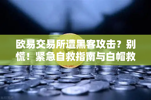 欧易交易所遭黑客攻击？别慌！紧急自救指南与白帽救援全解析