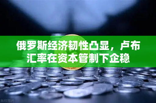 俄罗斯经济韧性凸显，卢布汇率在资本管制下企稳