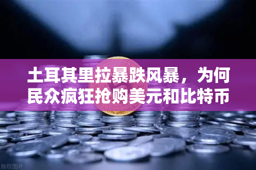 土耳其里拉暴跌风暴，为何民众疯狂抢购美元和比特币？欧易交易所官网为你解析避险新路径-第1张图片-欧易交易所
